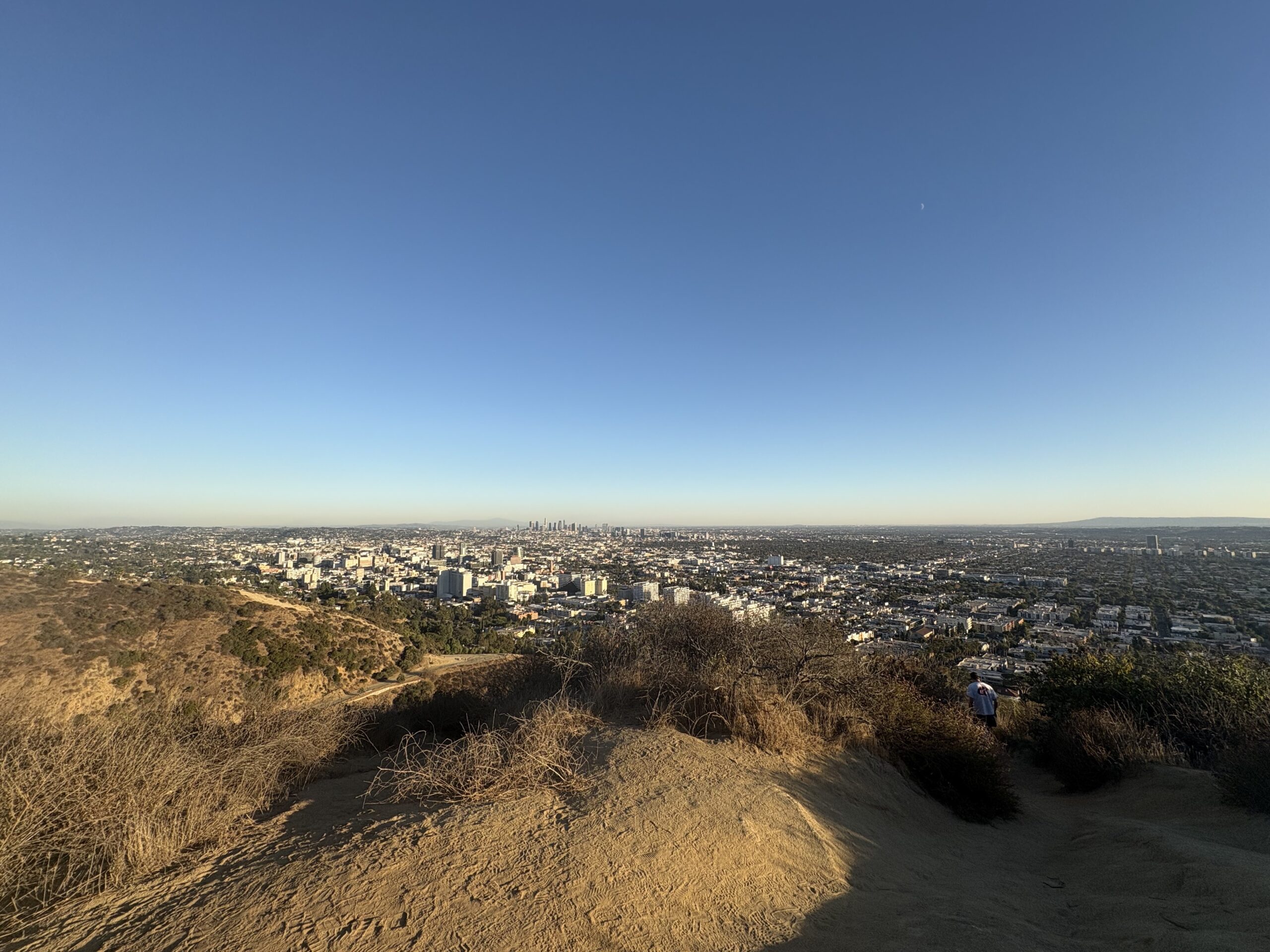 Runyon Canyon Los Angeles Overlook Skyline Hiking Nature Hollywood Hills Downtown LA