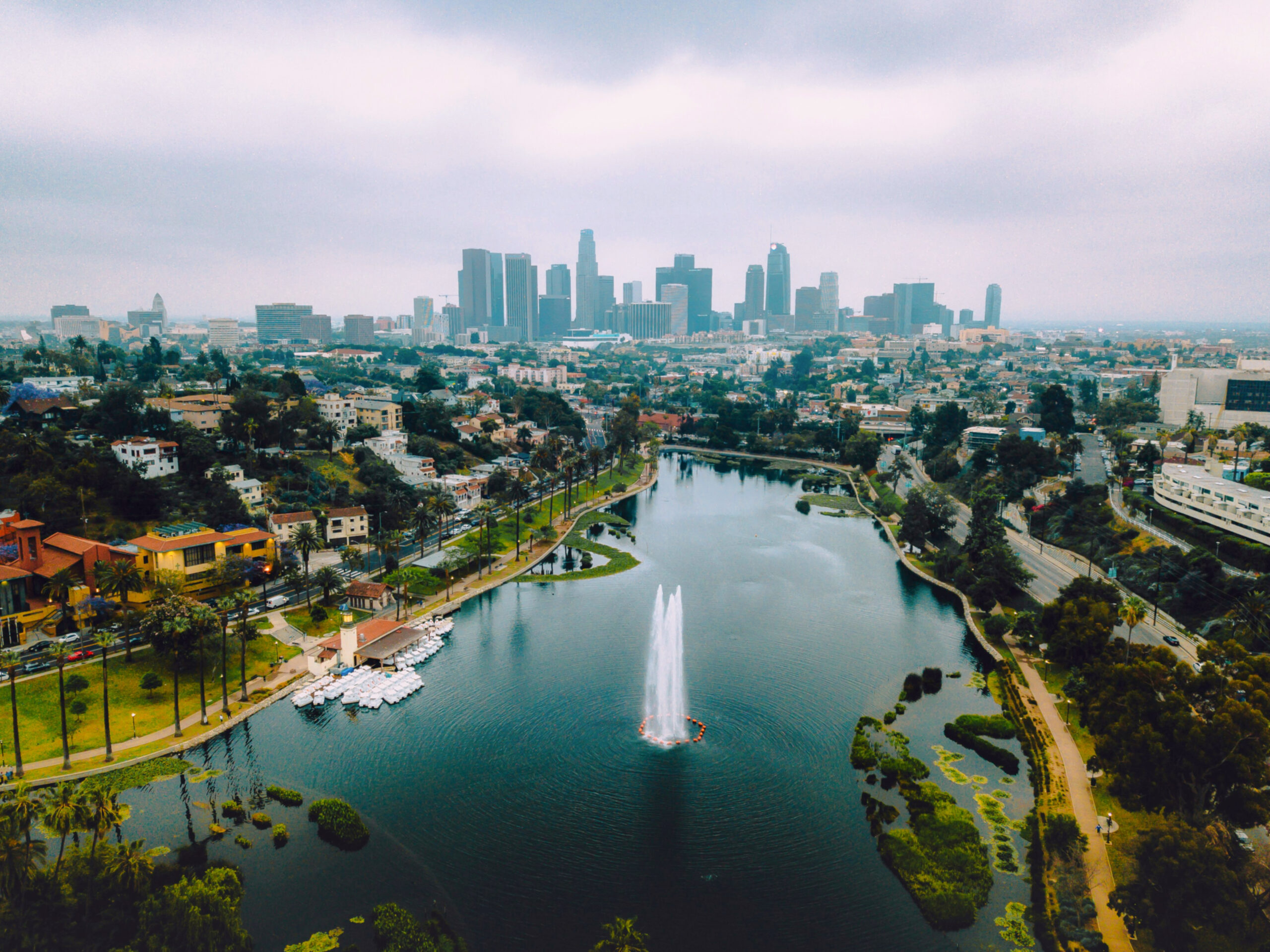 Echo Park Nature Lake Swan Los Angeles Downtown LA gerson-repreza