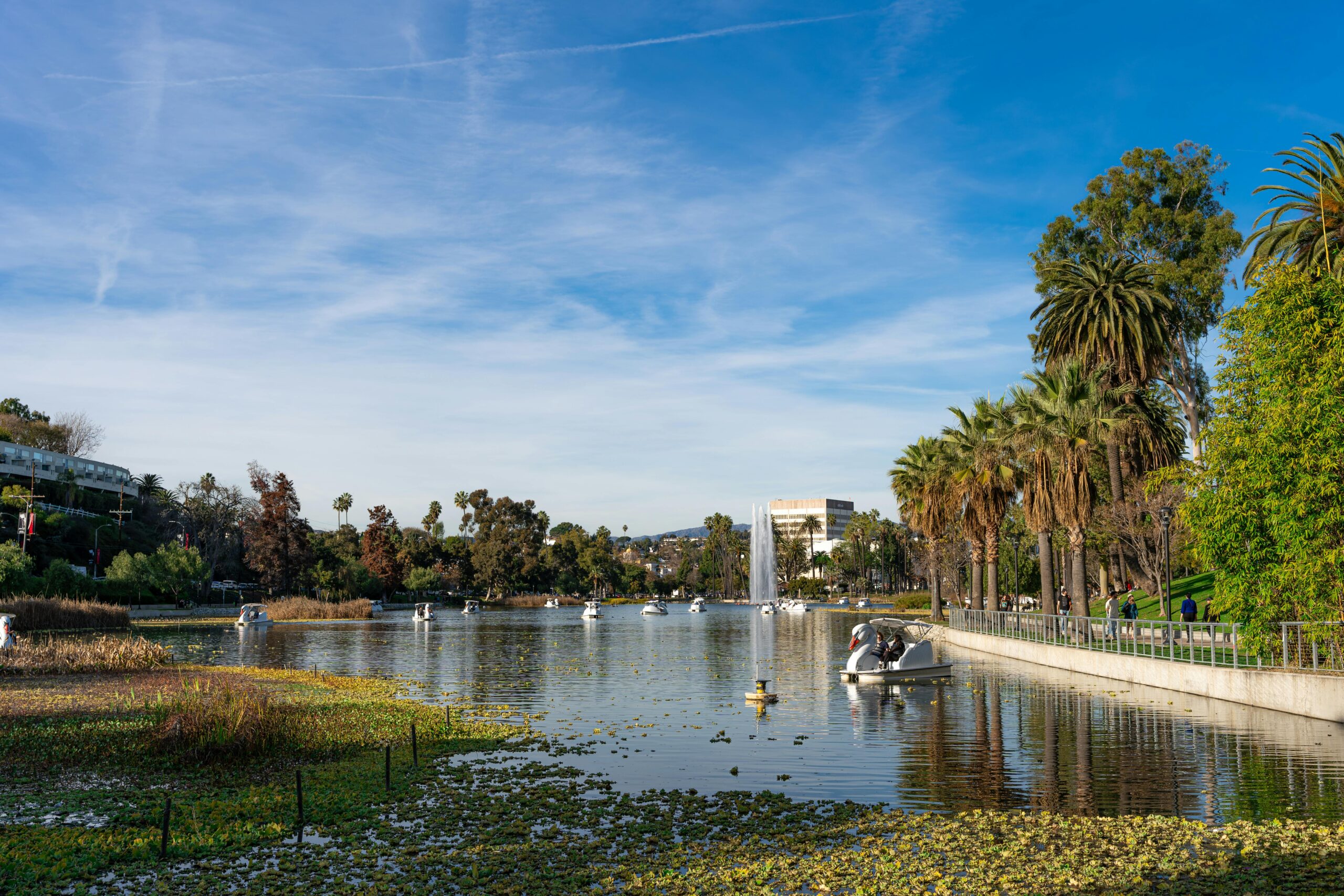 pexels-solyartphotos Echo Park Nature Lake Swan Los Angeles Downtown LA