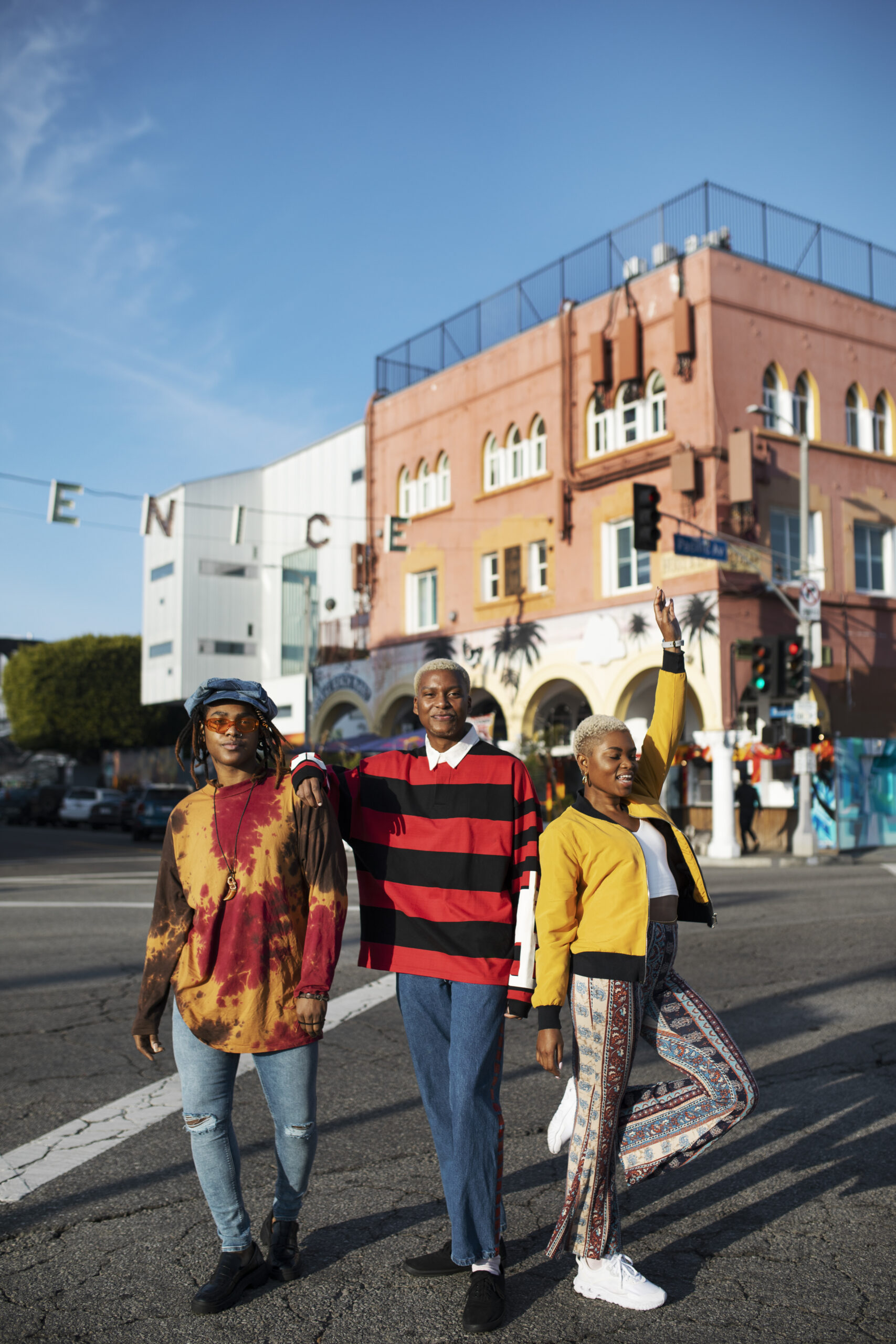 Venice Beach Los Angeles Street Ocean Friends