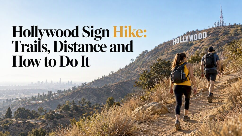 Hikers ascending a trail toward the Hollywood Sign