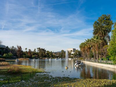 pexels-solyartphotos Echo Park Nature Lake Swan Los Angeles Downtown LA